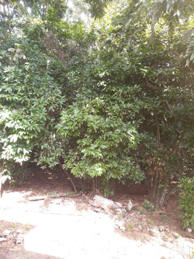 Cocoa Cabana Scarborough Dış mekan fotoğraf