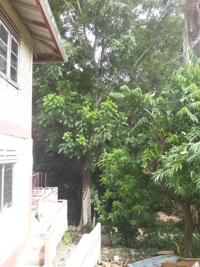 Cocoa Cabana Scarborough Dış mekan fotoğraf